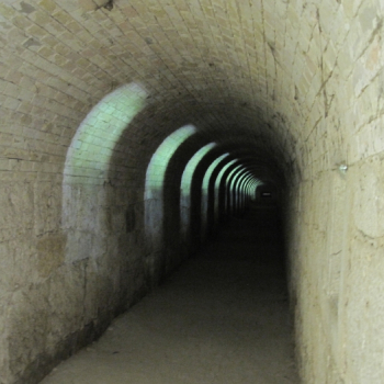 alfacity 2010 misho 166 613 20100601 1129226744