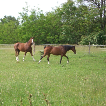 alfacity mino147 10 20100610 1599402103