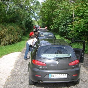 alfacity mino147 11 20100610 1165843291