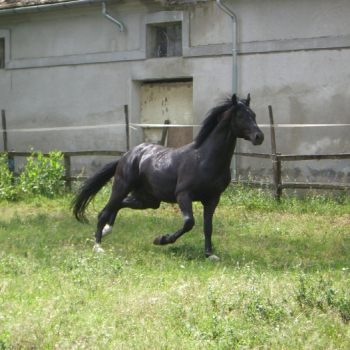 alfacity mino147 12 20100610 1915413376