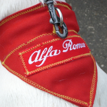 alfacity mino147 2 20100610 1656964650