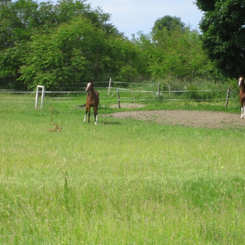 alfacity peterten 14 20100601 1598661876