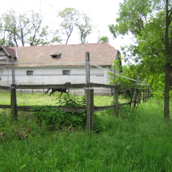 alfacity peterten 16 20100601 1709688424