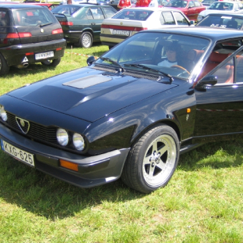 alfacity peterten 303 20100601 1210941920