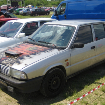 alfacity peterten 304 20100601 1921485311