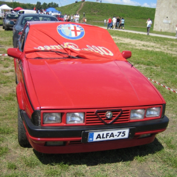 alfacity peterten 308 20100601 1122283483