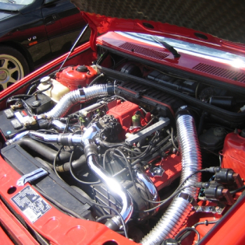 alfacity peterten 318 20100601 1026438341