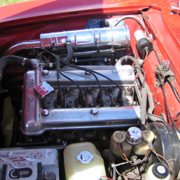 alfacity peterten 329 20100601 1867956782