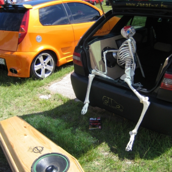 alfacity peterten 415 20100601 1214639825