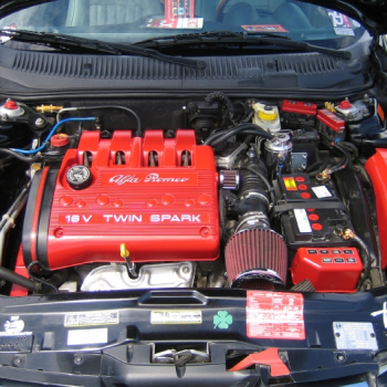 alfacity peterten 429 20100601 1045692333