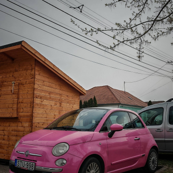 alfamania abda 2026 009