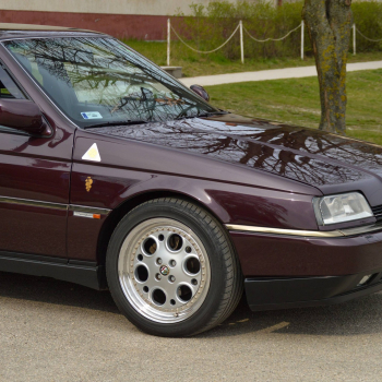 alfamania abda 2026 054