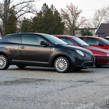 alfamania nym 2026 009