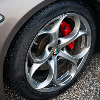 alfamania nym 2026 023