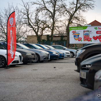 alfamania nym 2026 030