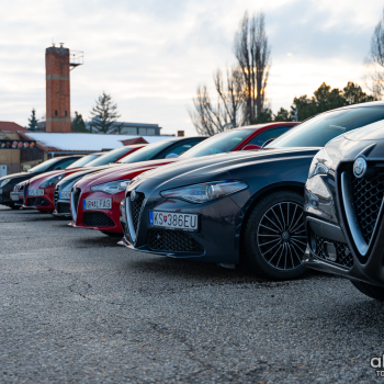 alfamania nym 2026 032