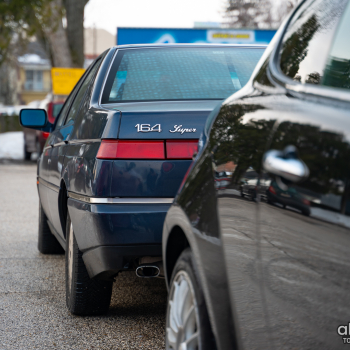 alfamania nym 2026 033