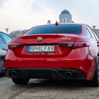 alfamania nym 2026 043