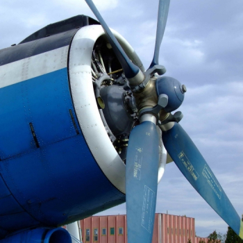 kaposjlak hungary 20110410 1761245853