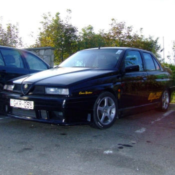 kaposjlak hungary 20110410 1827331568