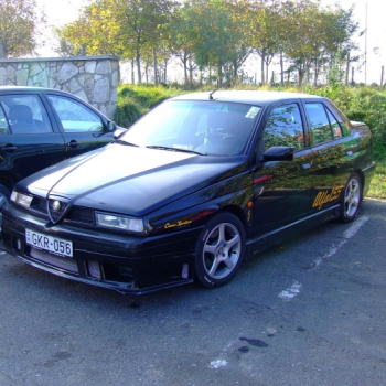 kaposjlak hungary 20110410 1863886451