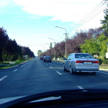 kaposjlak hungary 20110410 2077036991