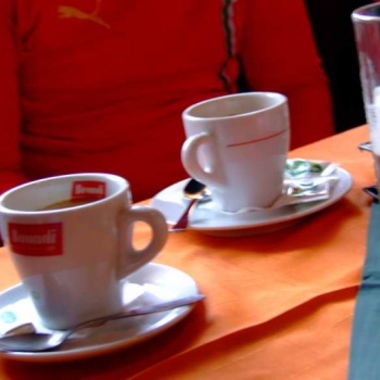 nitra - bckk 25 20100523 1759759000