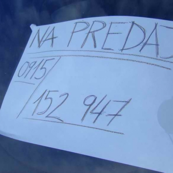 nitra - bckk 58 20100523 1230183175