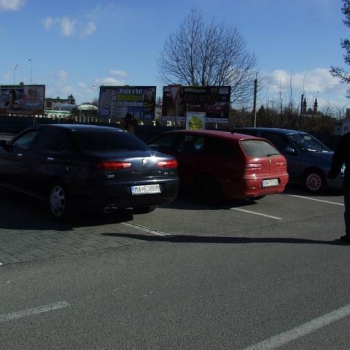 nitra 2008 13 20110410 2045698291