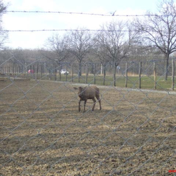 nitra 2009 38 20110410 1271536635