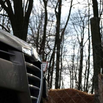 nitra 2009 44 20110410 1091307824