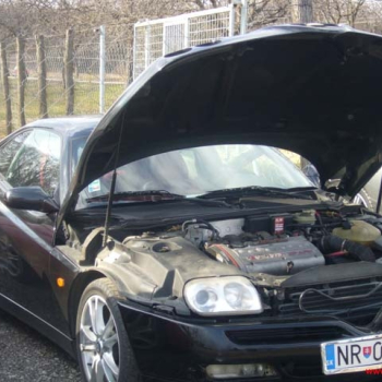 nitra 2009 55 20110410 1391203817