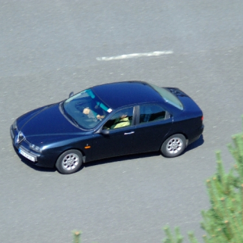 rabaring 2007 14 20110410 1618783406
