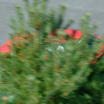 rabaring 2007 23 20110410 2086541076