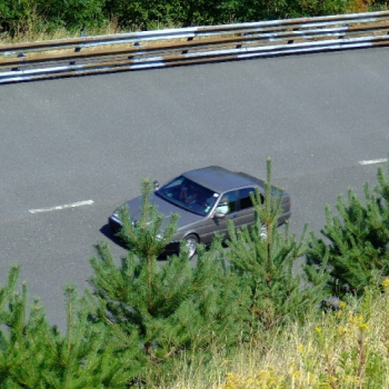 rabaring 2007 25 20110410 1624523254