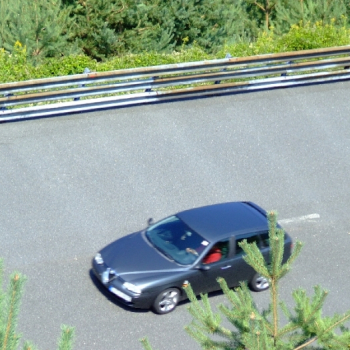 rabaring 2007 34 20110410 1291736153