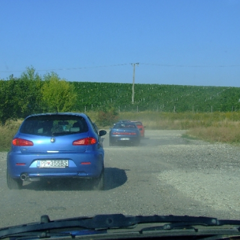rabaring 2007 67 20110410 1580276636
