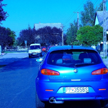 rabaring 2007 73 20110410 1384052433