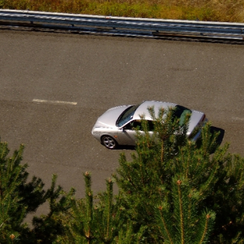 rabaring 2007 9 20110410 1667478081