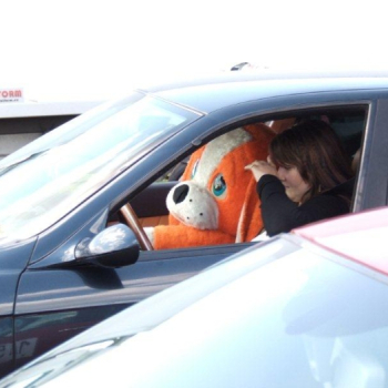 slovakiaring bckk 20110705 1785954907