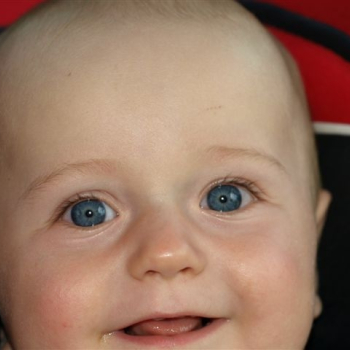 slovakiaring fero 637 20110709 1025882630