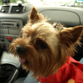 zilina fero 103 20100808 1841413938