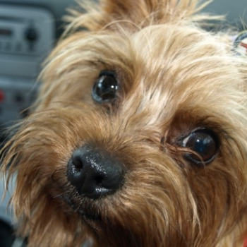 zilina fero 105 20100808 1558126343