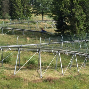 zilina fero 161 20100808 2064103584