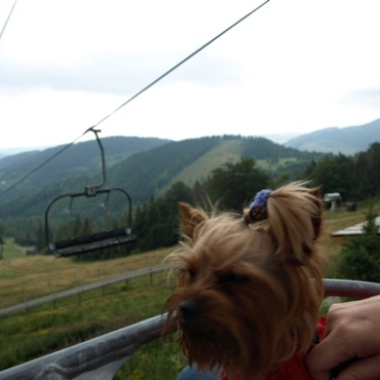 zilina fero 182 20100808 1936101983