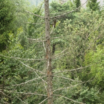 zilina fero 186 20100808 1570752237