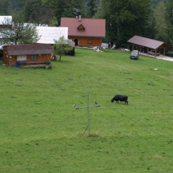 zilina fero 187 20100808 1725438495