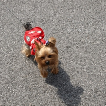 zilina fero 4 20100808 1393525725