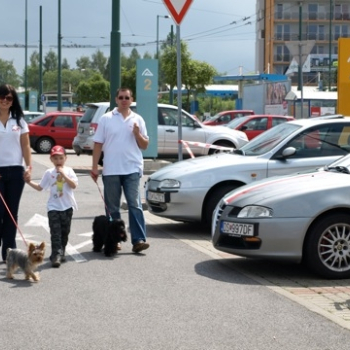 zilina fero 8 20100808 1853410065