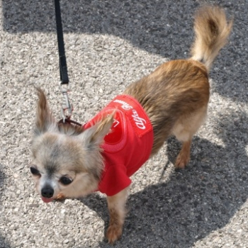 zilina fero 9 20100808 1824940773